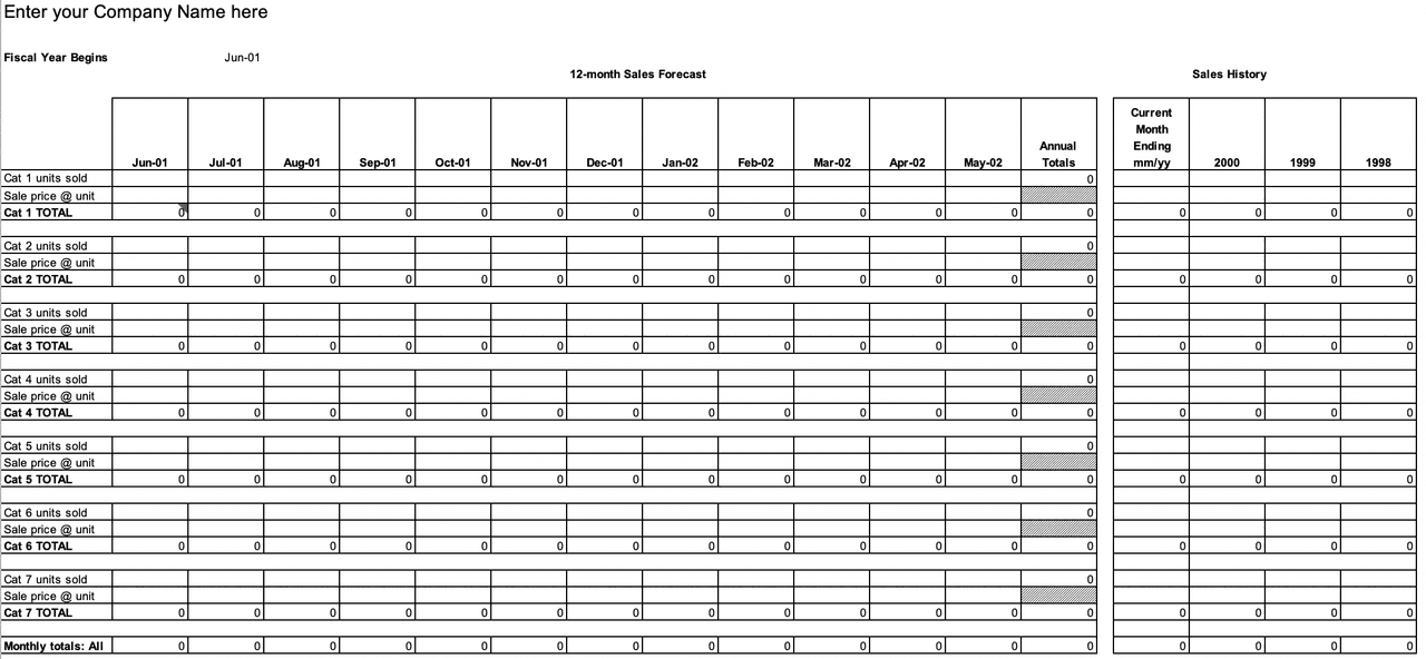 12 Month Sales Forecast Template