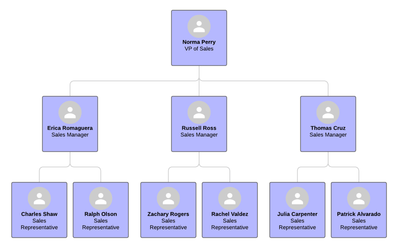 sales plan: team structure