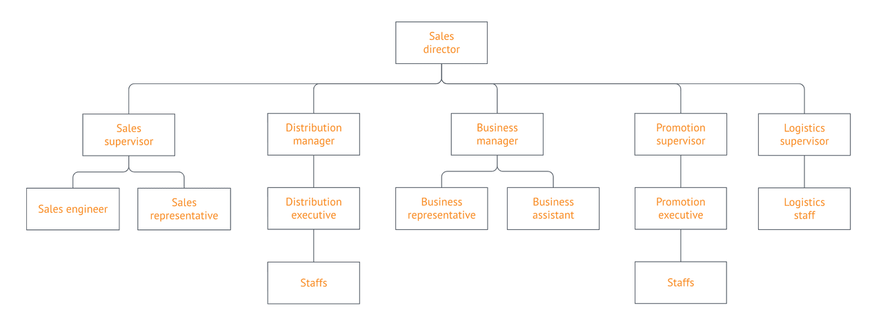 what to include in sales playbook: company overview