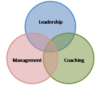 sales coach: leadership, management, coaching