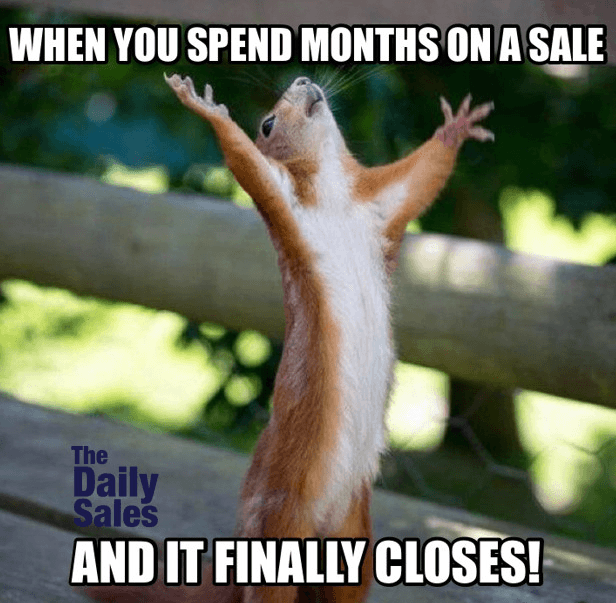 sales memes