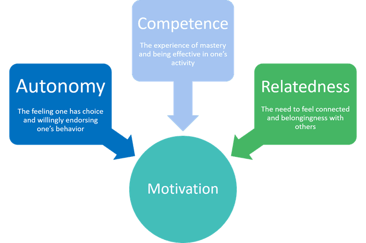 consultative selling: autonomy, competence, relatedness