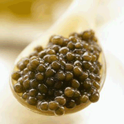 White Sturgeon Caviar